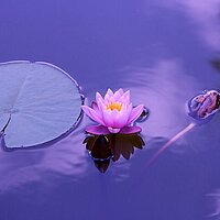 Fasten - Yoga - Meditation